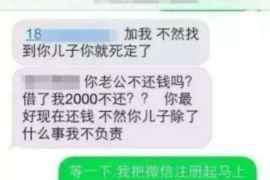 宁陵为什么选择专业追讨公司来处理您的债务纠纷？